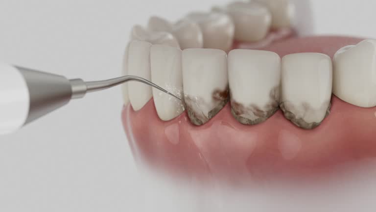 Reliable Dental contractor in Murphysboro, IL by Dentist Open Now